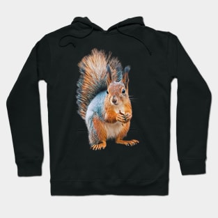 Squirrel - Woodland Themed Kids Room, Funny Gifts For Forester, Cute Animals Hoodie